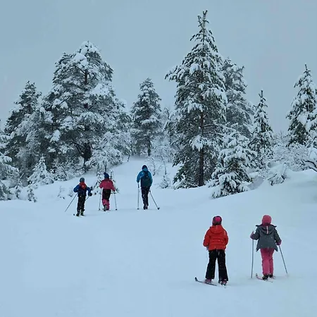 Med Utsikt I Naerheten Av Sentrum Nyaraló Stryn